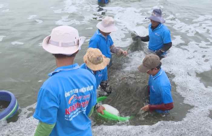 Thông tin đối ngoại - Kinh tế 6 tháng đầu năm và tình hình hội nhập kinh tế quốc tế (15-06-2020)